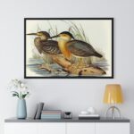 Vintage Bird Art Framed Poster, Elegant Wall - Image 4