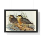 Vintage Bird Art Framed Poster, Elegant Wall - Image 2