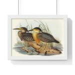 Vintage Bird Art Framed Poster, Elegant Wall - Image 11