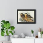 Vintage Bird Art Framed Poster, Elegant Wall - Image 7