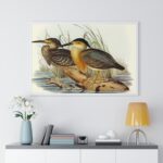 Vintage Bird Art Framed Poster, Elegant Wall - Image 5