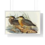 Vintage Bird Art Framed Poster, Elegant Wall - Image 16