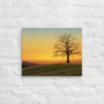 Evening Shade Canvas - Image 9