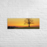 Evening Shade Canvas - Image 3