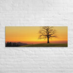 Evening Shade Canvas - Image 5