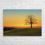 Evening Shade Canvas - Image 7