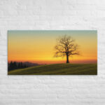 Evening Shade Canvas