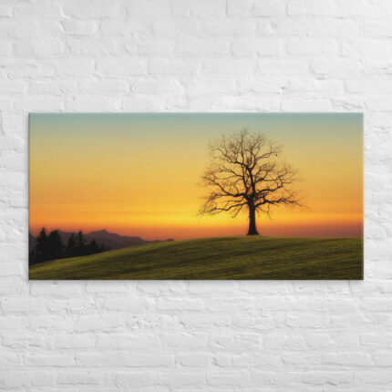 Evening Shade Canvas