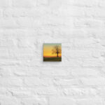 Evening Shade Canvas - Image 8